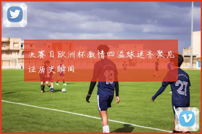决赛日欧洲杯激情四溢球迷齐聚见证历史瞬间
